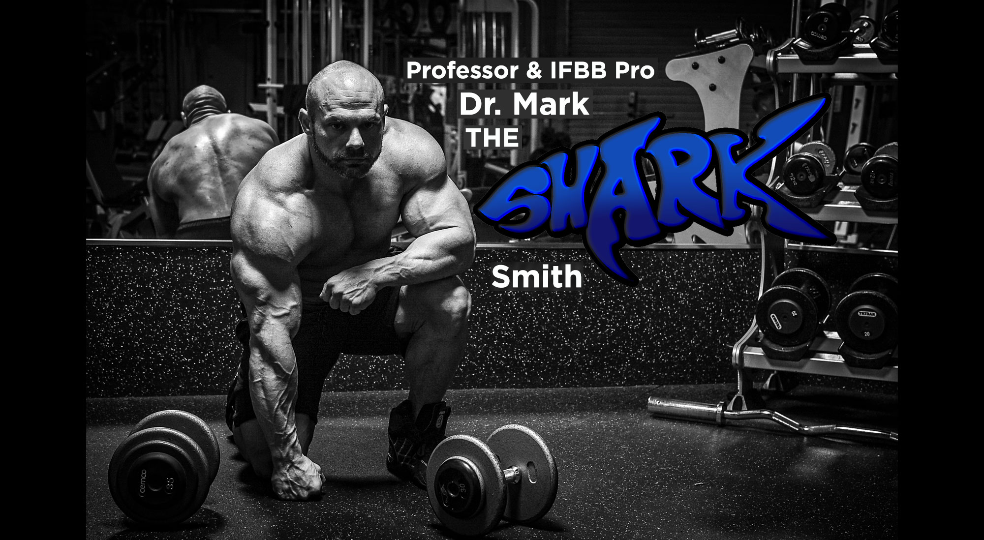 Dr. Mark The Shark